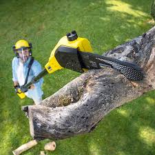 Lawn Maintenance Plans in Pelican Marsh, FL